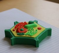Plant Cell Model 3d Models To Print Yeggi