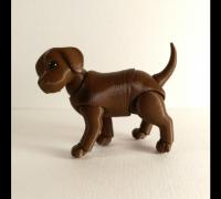 bjd dog