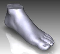 foot" 3D Models Print -