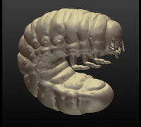 grub 3D Models to Print - yeggi - page 3