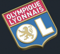 Olympique Lyonnais Boule à Neige Lion 3D