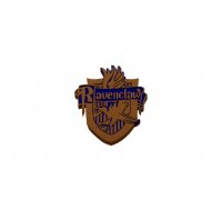 Ravenclaw crest with eagle and the diadem of rowena ravenclaw