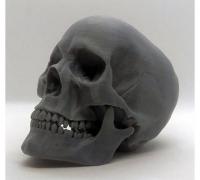 STL file Skull Skull Skull Halloween The Ring Movie Horror Horror Horror Funko  Pop 💀・Model to download and 3D print・Cults