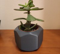 IKEA SJALSLIGT Cactus Decoration Set 3D model