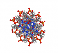 Dna Structure 3d Models To Print Yeggi