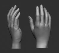 https://img1.yeggi.com/page_images_cache/4261932_female-hand-pose-1-3d-model-3d-printable