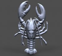 https://img1.yeggi.com/page_images_cache/4277313_crayfish-bas-relief-for-cnc-3d-model-3d-printable