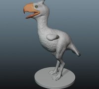 Opila Bird - Download Free 3D model by