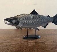 salmon 3D Models to Print - yeggi
