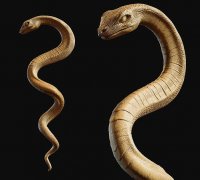 Cobra Snake 3D Print Model by Alexander3dart
