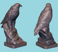 hawk bird 3D Models to Print - yeggi