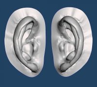 Ear and canal 3D printable model | 3D Print Model