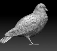 pigeon racing 3D Models to Print - yeggi - page 20