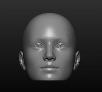 Mannequin heads 3D Model Collection