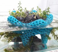 aquarium planter\