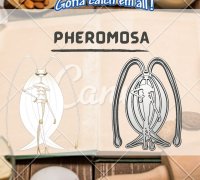 STL file Pokemon Ultra Beast Pheromosa 🐉・3D print design to download・Cults