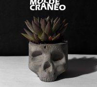 https://img1.yeggi.com/page_images_cache/4478660_skull-mold-x-concrete-pot-to-download-