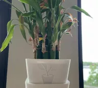 Plant Wall Mount for Nursery-Pot-Size V2 by mxwkl - Thingiverse