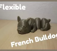Free STL file Trixie Dog Activity pieza・3D printing idea to