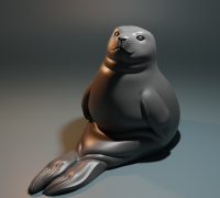 seal animal