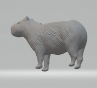 Capybara with Baby 3D Printed Miniature Figurine Sculpture DIY Paint Your  Own - .de