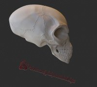Grim Reaper Skull Jar STL Format 3D Printable Ready File 