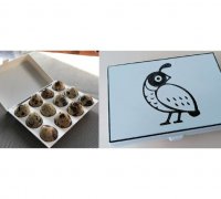 https://img1.yeggi.com/page_images_cache/5254682_egg-box-for-quail-eggs-by-zefram-cochrane