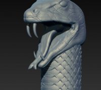3D file Snake bush viper- Atheris-hispida 🐍・Template to download and 3D  print・Cults