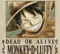 Monkey D. Luffy Straw Hat/Mugiwara and Gomu gomu no mi/Hito hito