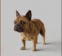 bulldog french 3D Models to Print - yeggi