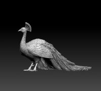 peacock 3D Models to Print - yeggi