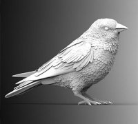 "greenfinch" 3D Models To Print - Yeggi