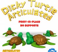 Dicky turtle 2025