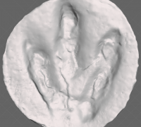 https://img1.yeggi.com/page_images_cache/5618340_obj-file-life-sized-dilophosaurus-footprint-v2.-3d-printing-idea-to-do