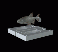 fish measuring board 3D Models to Print - yeggi - page 47