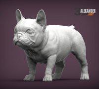 French Bulldog - Frank - flexi toy - Print in Place