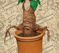 STL file Carnivorous plant, Mandrake 🌿・Design to download and