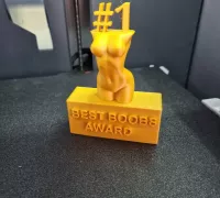 ass award 3D Models to Print - yeggi