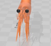 lure bait shrimp prawn 3D Models to Print - yeggi - page 3