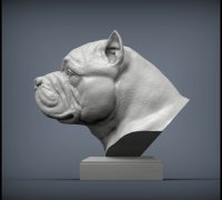STL file Diorama busts exotic, french, american bully, english bulldog  👥・Model to download and 3D print・Cults