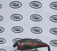 printed lure 3D Models to Print - yeggi - page 29