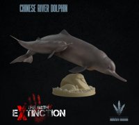 https://img1.yeggi.com/page_images_cache/6267321_chinese-river-dolphin-family-by-miniature-museum
