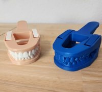 https://img1.yeggi.com/page_images_cache/6327644_free-mouth-chip-clip-from-3d-scan-of-teeth-object-to-download-and-to-3