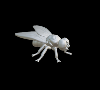 Fichier STL gratuit Piège à moucherons / Fly trap 🪰・Plan à télécharger et  à imprimer en 3D・Cults