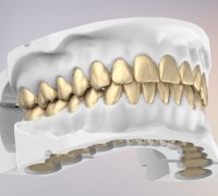 fangs 3D Models to Print - yeggi