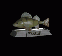 https://img1.yeggi.com/page_images_cache/6434627_fish-perch-statue-detailed-texture-for-3d-printing-3d-printer-design-t