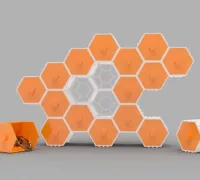 3D Printed Modular Drawer-Box with hexagonal pattern by Birdz Inc.