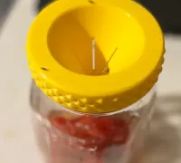 https://img1.yeggi.com/page_images_cache/6596960_better-fruit-fly-trap-for-mason-jars-by-nuk