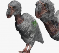 3D Printable Beak Runner Jumping / Feathered Raptor / Flightless Bird /  Ancient Giant Chicken / Evil Dinosaur / Jurassic Encounter by  Epic-Miniatures