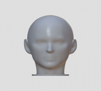 STL file Head Human - Human Head Mannequin 👗・Model to download